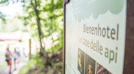 Il Sentiero degli Elfi a Vandoies di Sopra L'immagine mostra un cartello con la scritta "Bienenhotel" e il termine italiano "Le case delle api". Sullo sfondo si intravedono sfocati delle persone in un'area boschiva.