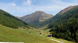 La Valle di Altafossa, presso Maranza L'immagine mostra una vasta valle tra le montagne, circondata da fitte foreste su entrambi i lati. Un sentiero stretto si snoda attraverso la valle, lungo il quale sono sparse alcune baite. Sullo sfondo si ergono alte montagne rocciose verso il cielo, e il cielo è limpido con poche nuvole.