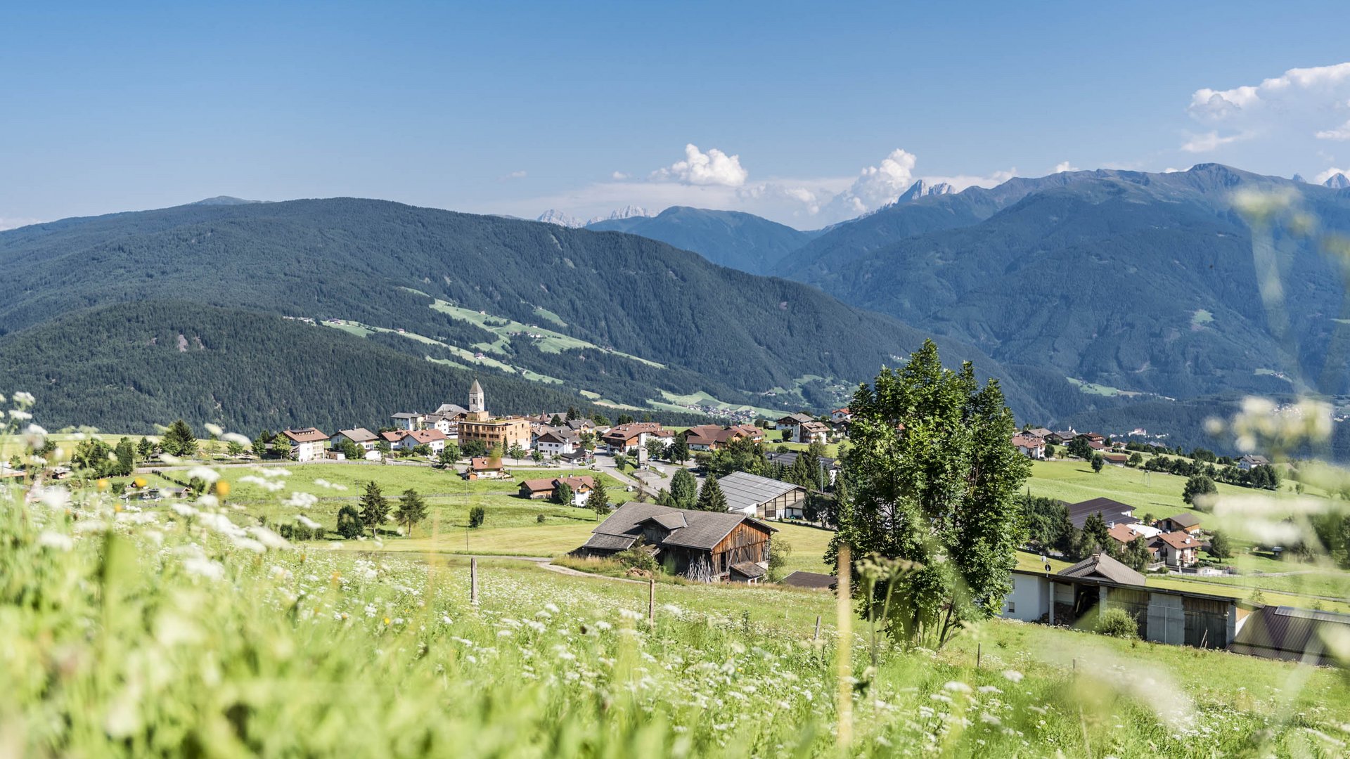 Conoscete già Maranza? L'immagine mostra un pittoresco villaggio immerso in un paesaggio verde e collinare con prati e case sparse. Sullo sfondo si vedono montagne boschive e un cielo azzurro chiaro, mentre in primo piano crescono fiori selvatici e erbe. Una chiesa con una torre appuntita si trova in modo prominente al centro del villaggio.