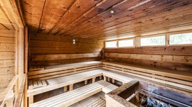 La piscina Alpinpool a Maranza Sauna rivestita in legno