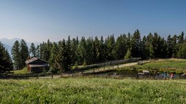 Escursioni a Terento, in Val Pusteria Prato verde con casetta in legno, stagno e escursionisti sotto cielo sereno