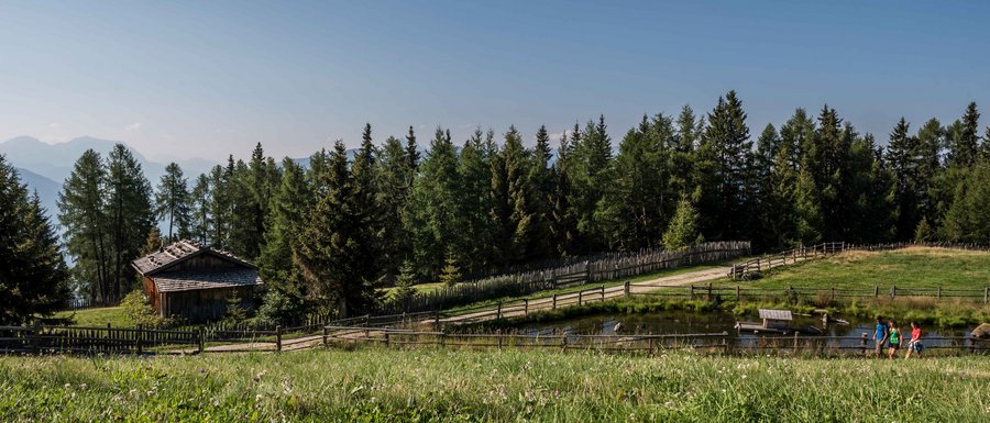 Le località dell’area vacanze Rio Pusteria Prato verde con casetta in legno, stagno e escursionisti sotto cielo sereno