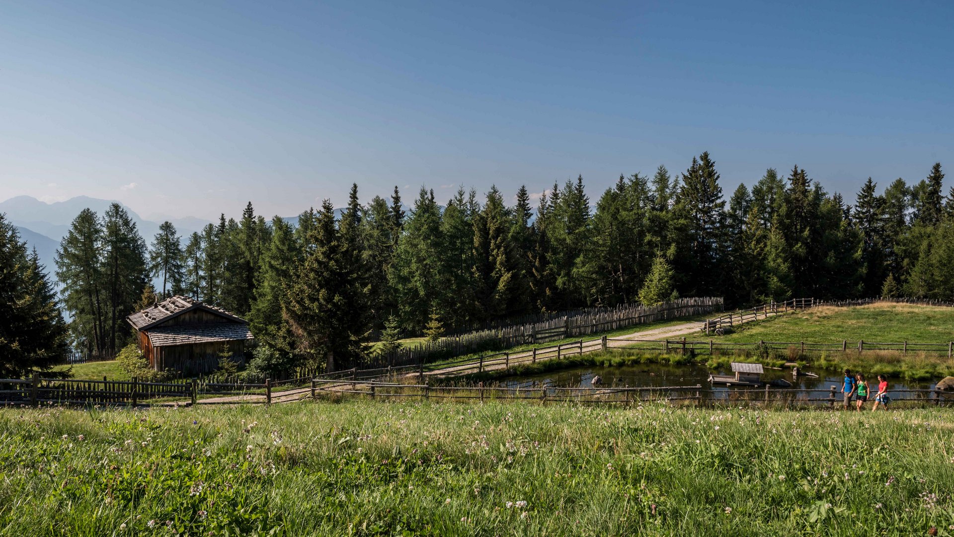 Escursioni a Terento, in Val Pusteria Prato verde con casetta in legno, stagno e escursionisti sotto cielo sereno