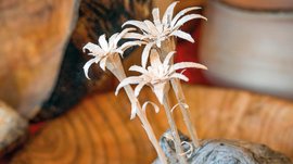 L’Avvento di Terento Tre fiori intagliati in legno su un pezzo di legno