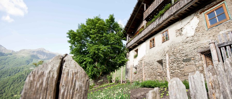 Le località dell’area vacanze Rio Pusteria L'immagine mostra un edificio rustico e antico con una facciata in pietra e balconi in legno. In primo piano si vede una recinzione di legno che circonda un piccolo giardino con verdure o piante verdi. Sullo sfondo sono visibili colline verdi e un grande albero.